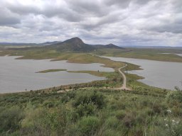 Flora del Cerro Masatrigo